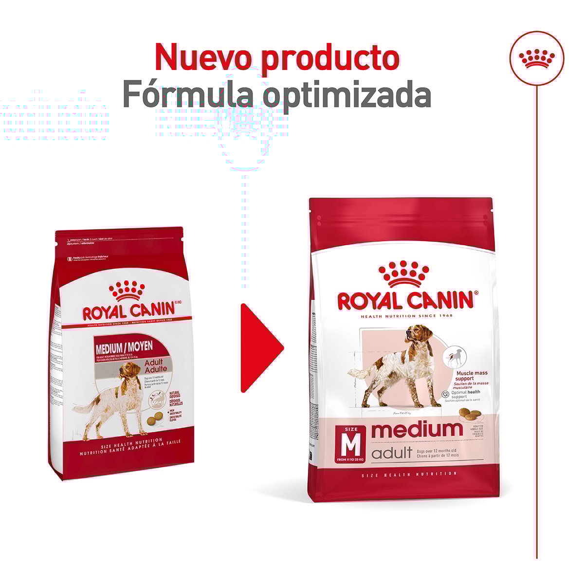 Alimento Royal Canin Adulto Mediano Para Perro (UNICAMENTE BAJO PEDIDO)