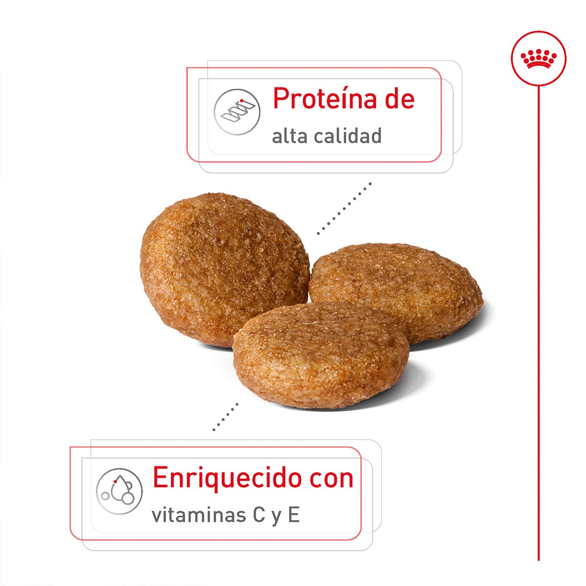 Alimento Royal Canin Adulto Mediano Para Perro (UNICAMENTE BAJO PEDIDO)