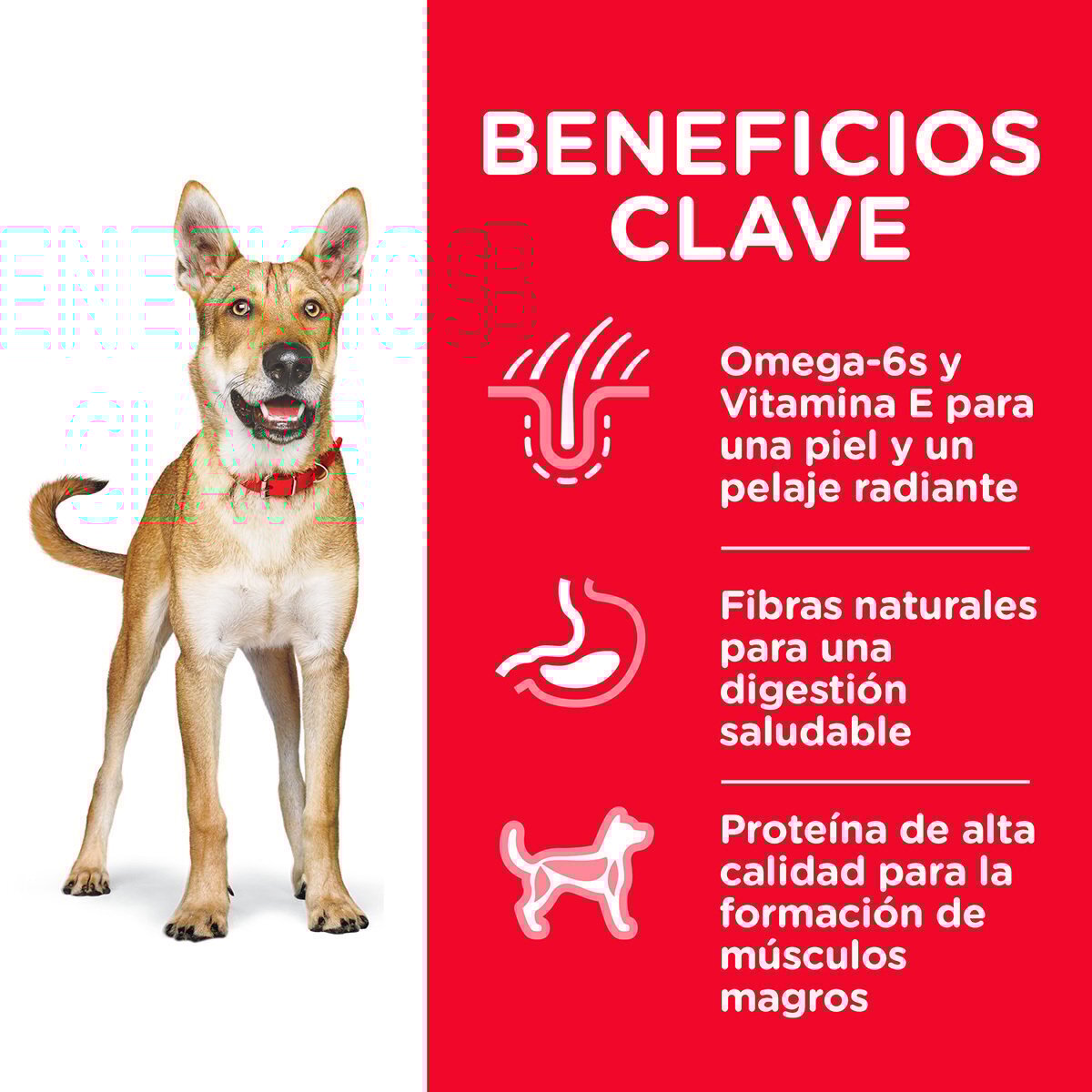 Alimento Hill's Science Diet Original Adulto Para Perro