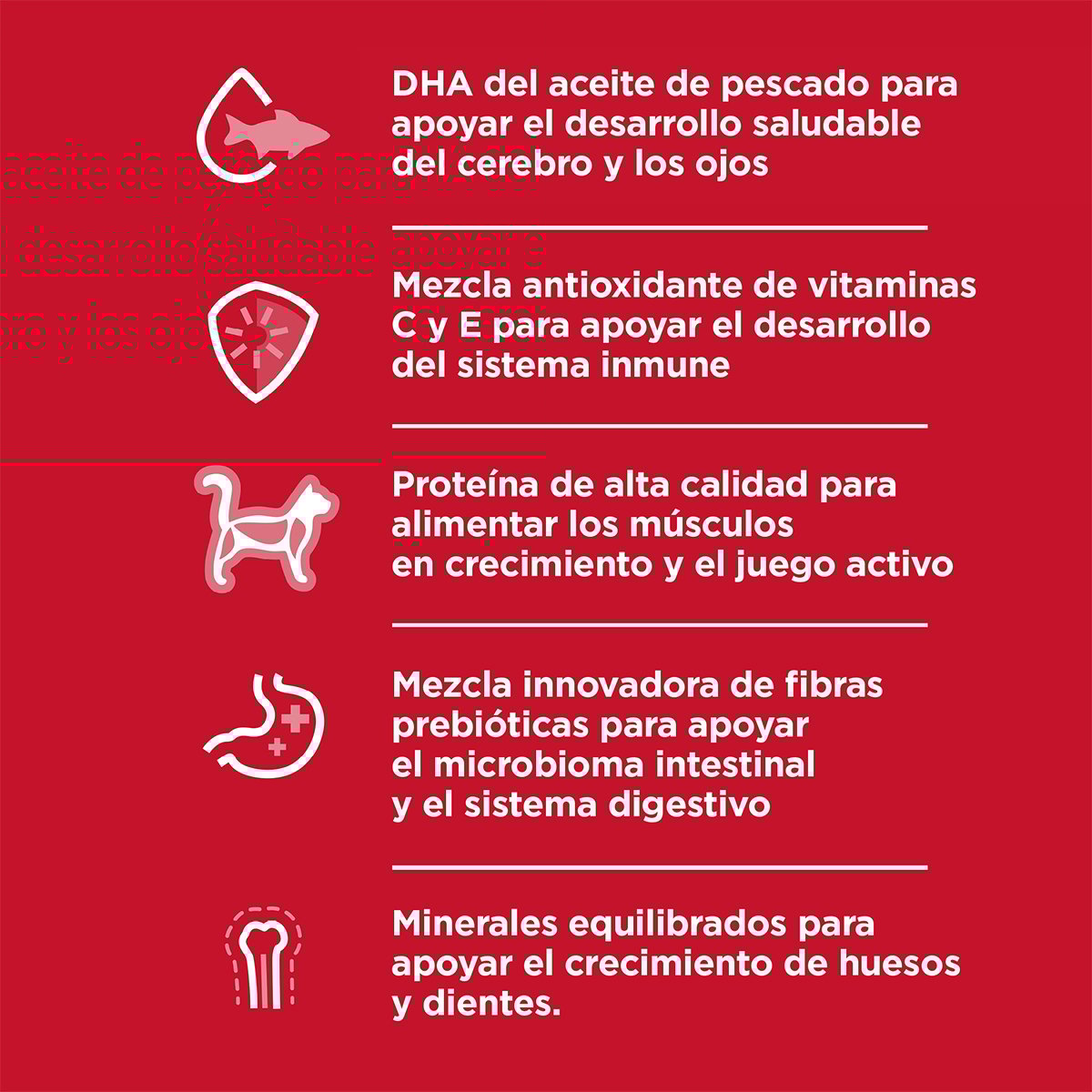 Alimento Hill's Science Diet Indoor Kitten Para Gato