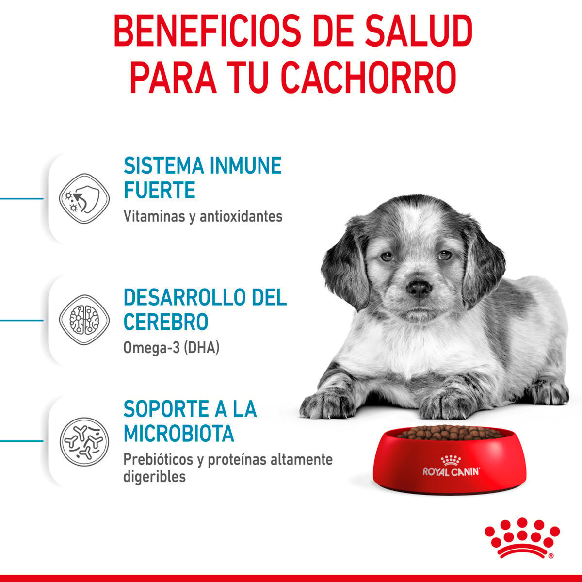 Alimento Royal Canin Para Perro Cachorro Raza Mediana (UNICAMENTE BAJO PEDIDO)