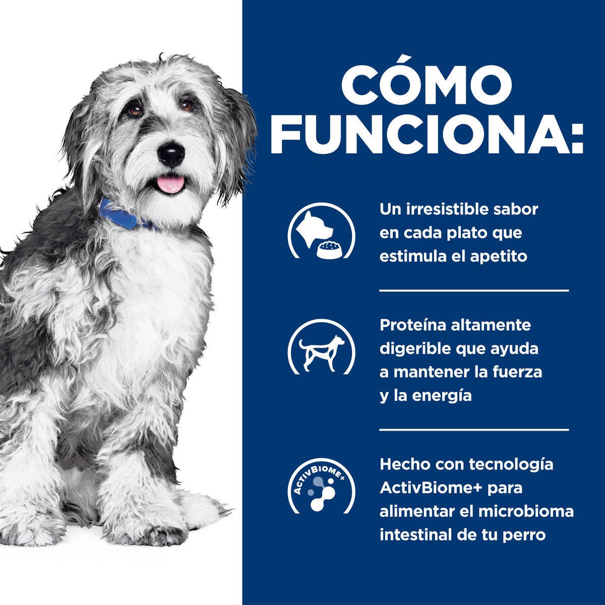 Alimento Hill's Prescription Diet Onc Care Para Perro 2.72kg (UNICAMENTE BAJO PEDIDO)