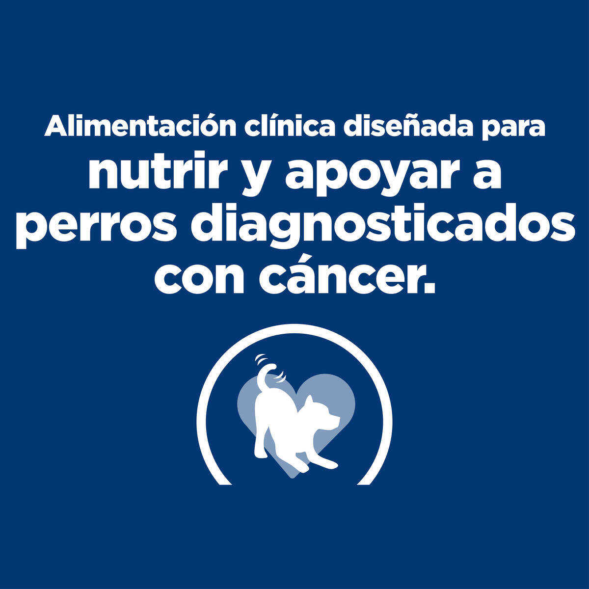 Hill's Prescription Diet Onc Care Alimento Húmedo Oncológico para Perro Adulto 354 g (UNICAMENTE BAJO PEDIDO)