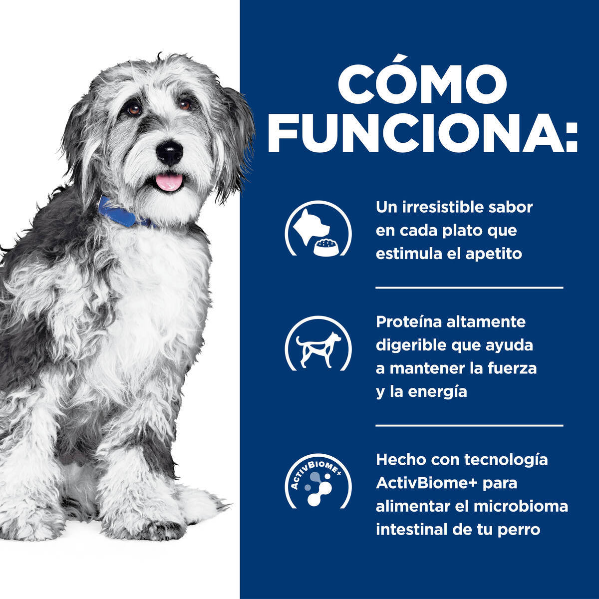 Hill's Prescription Diet Onc Care Alimento Húmedo Oncológico para Perro Adulto 354 g (UNICAMENTE BAJO PEDIDO)