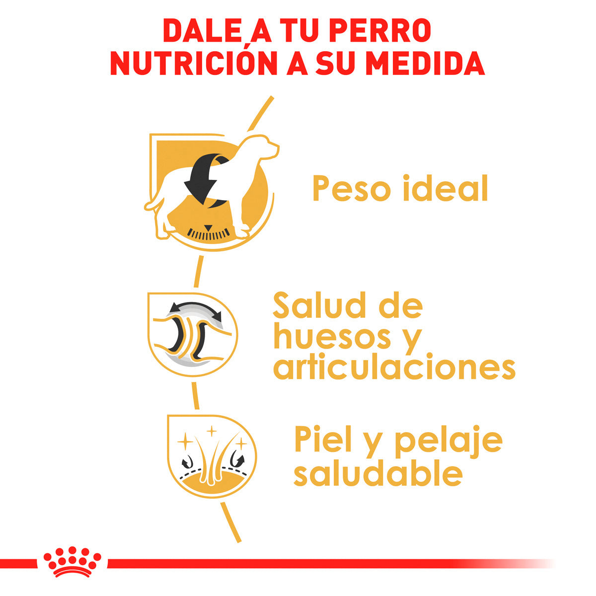 Royal Canin Alimento Seco para perro Adulto Raza Labrador Retriever 13.61kg
