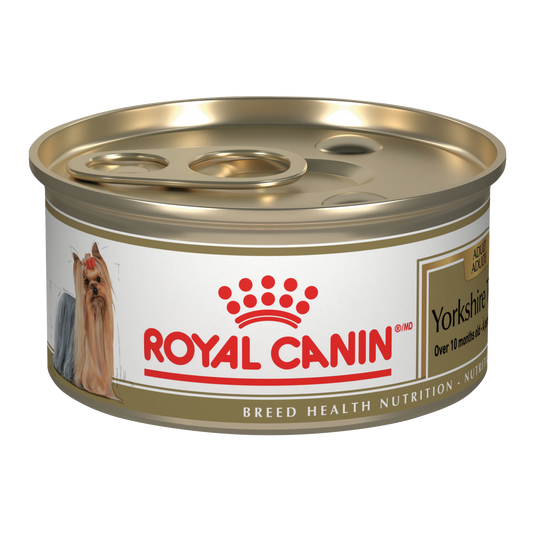 Royal Canin Alimento Húmedo para Perro Adulto Raza Yorkshire Terrier Receta Pollo 85 g (UNICAMENTE BAJO PEDIDO)