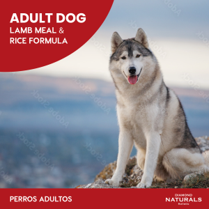Alimento Diamond Naturals Cordero y Arroz Adulto Para Perro