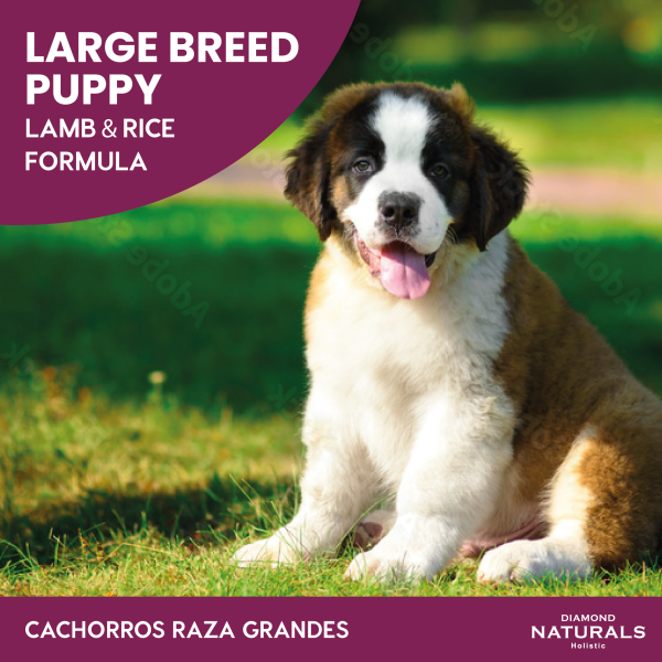 Alimento Diamond Naturals Cordero y Arroz Cachorro Razas Grandes 18.14 KG (UNICAMENTE BAJO PEDIDO)