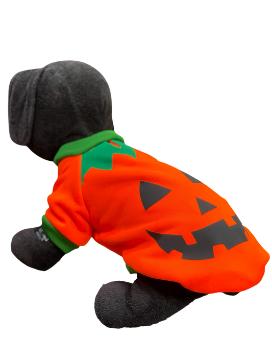 Disfraz para Perro “Calabacita Encantada” 🎃🐾