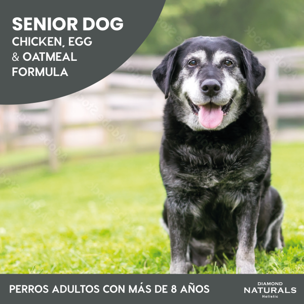 Alimento Diamond Naturals Pollo Y Huevo Senior Para Perro