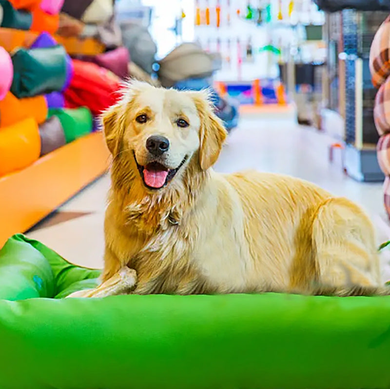 Servicio a Domicilio