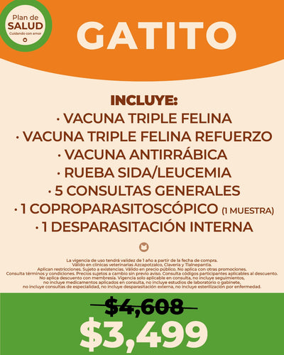 Adquiérelo aquí