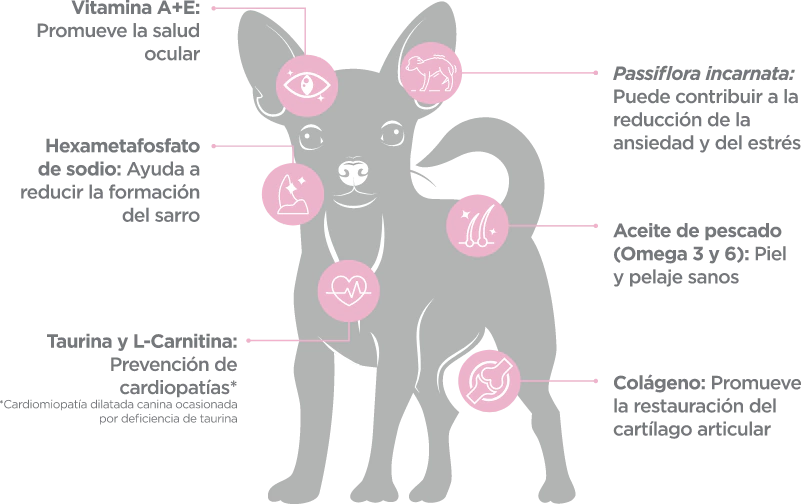 Nupec Alimento Senior Raza Mini (UNICAMENTE BAJO PEDIDO)