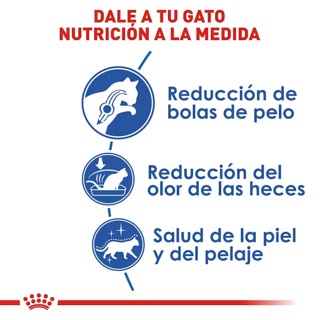 Alimento Seco para Gato Adulto de Interior 3.1 kg