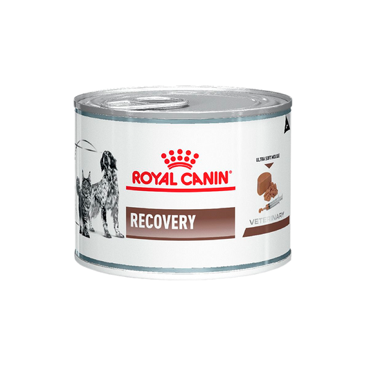Alimento Royal Canin Recovery Para Perro y Gato Lata 145g