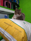 Foto de Patricia L.