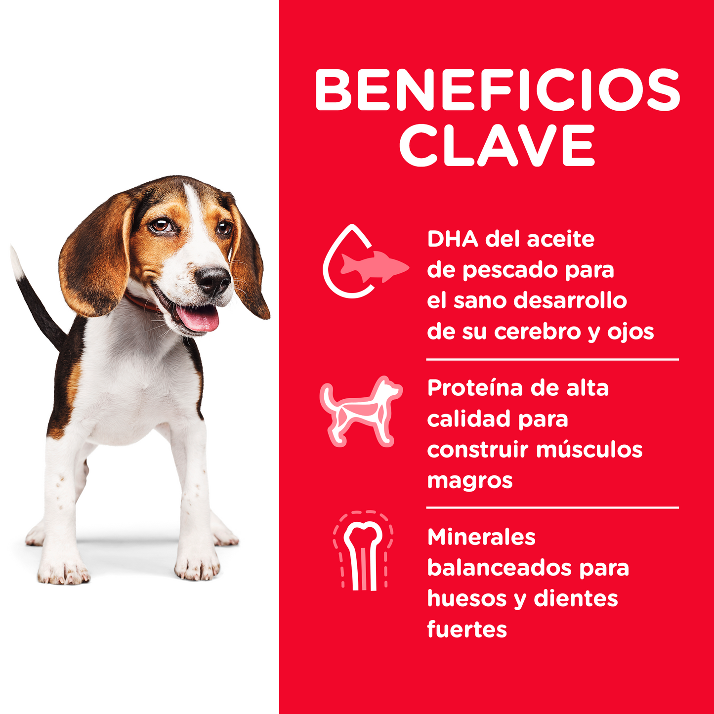 Alimento Hill's Science Diet Original Cachorro Para Perro Raza Mediana