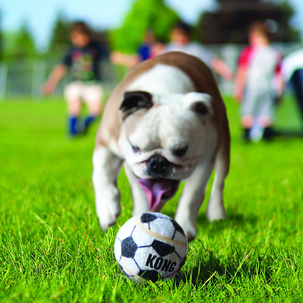 Pelotas Kong Sport Grandes Para Perro 2pz