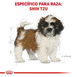 Alimento Royal Canin BHN Shih Tzu Puppy 1.13kg