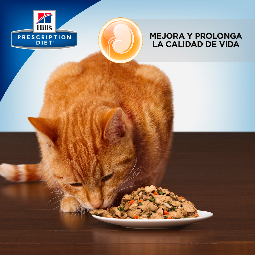 Alimento Hill's Prescription Diet k/d Cuidado del Riñon Para Gato Lata 156g