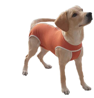 Body Cobre Copper Vet Original Talla 11 De 30kg a 35kg