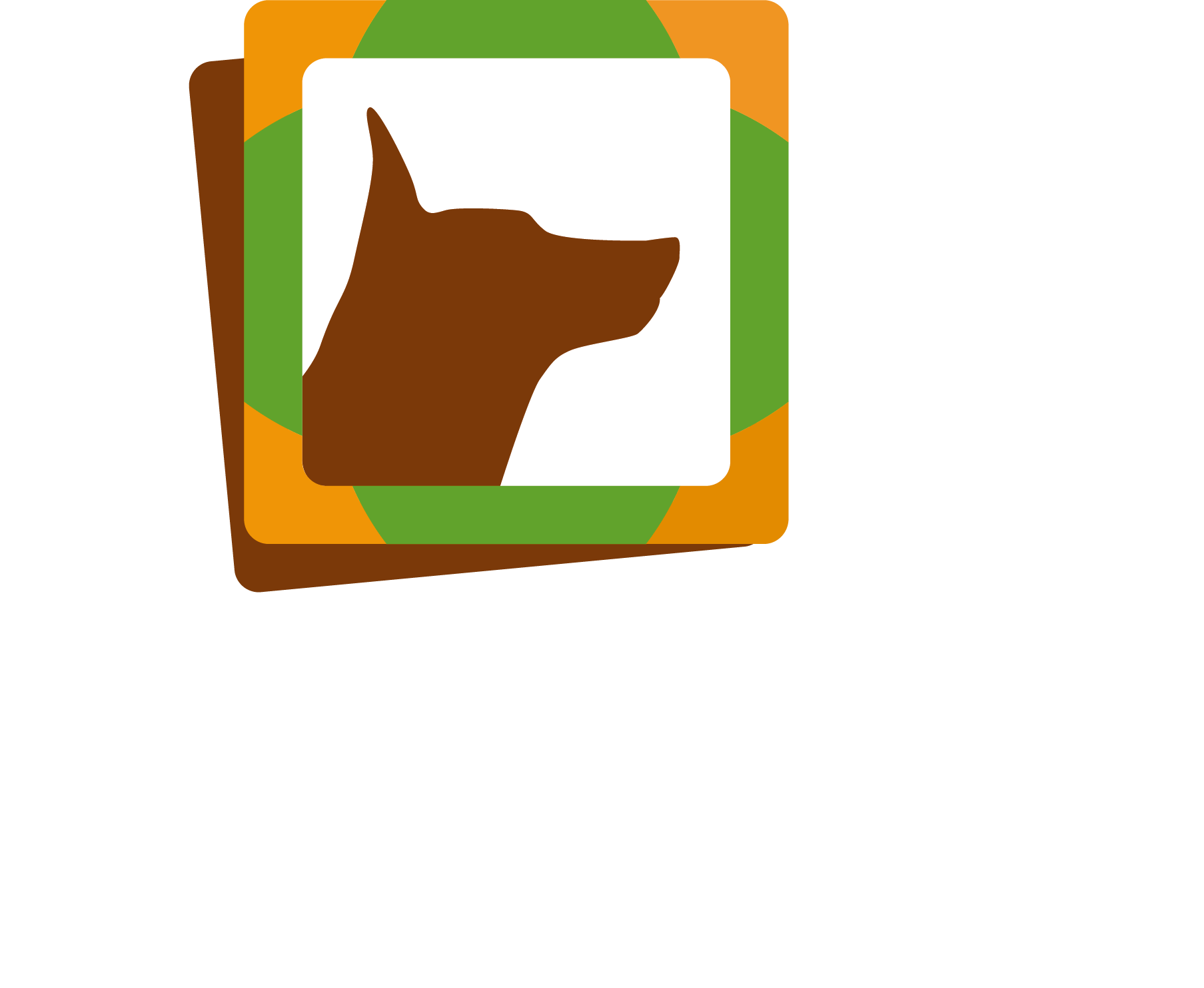 Pet's club, servicios especializados en mascotas